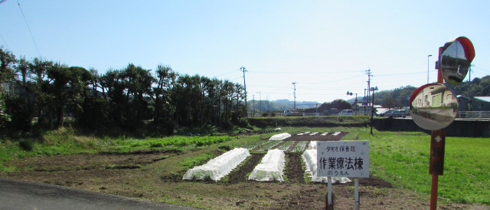 作業療法農園